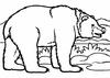 Bears -1